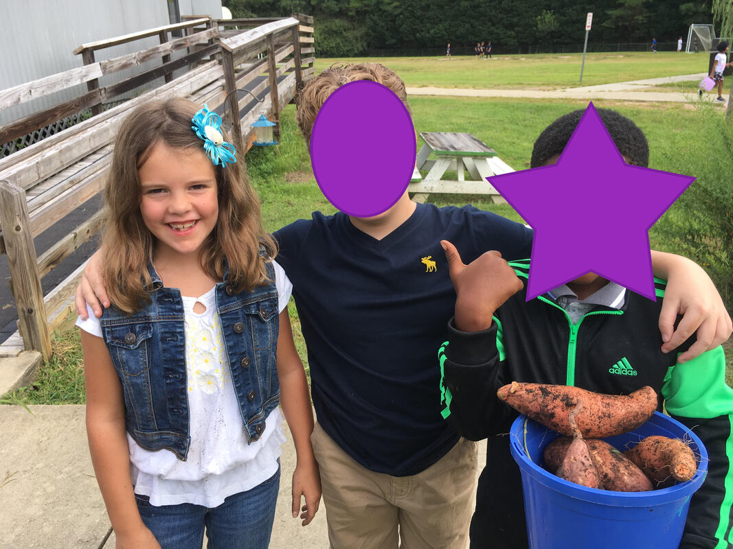 Third graders with their sweet potato harvest